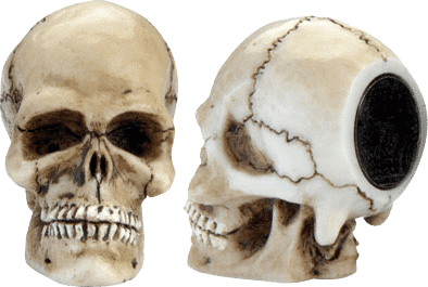 Dead Stroke TTDSSS Skull Shaper - Pool Shark Supply Pool Shark Supply