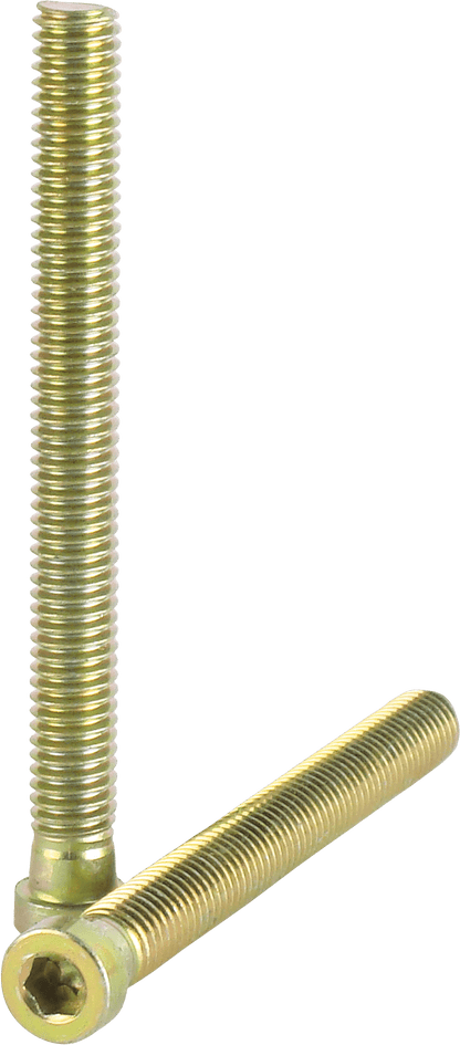 Mezz WBMEZZ Weight Bolt - Pool Shark Supply